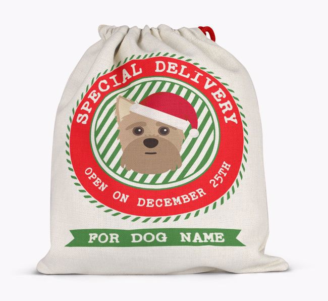 Special Delivery: Personalised {breedFullName} Santa Sack